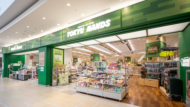 �t�@���Y�x�r�[ ���}�n���Y